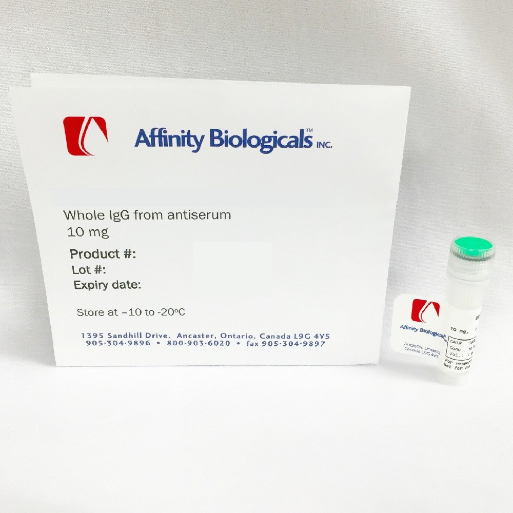 b2-糖蛋白-1（APO-H）多克隆抗体